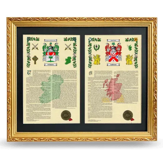 Double Armorial History Framed - Gold