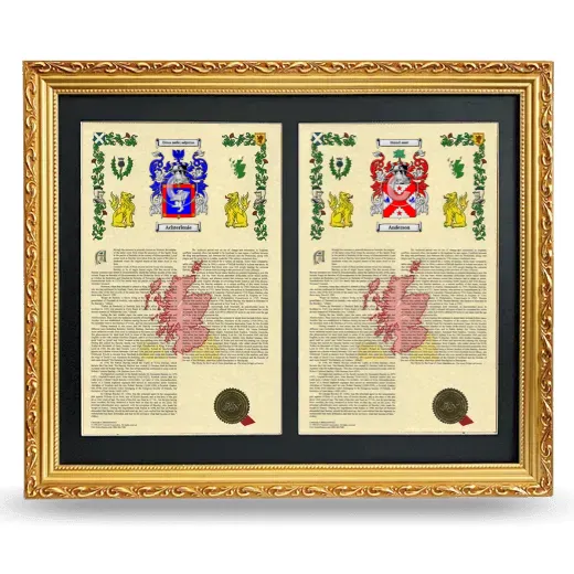 Double Armorial History Framed - Gold