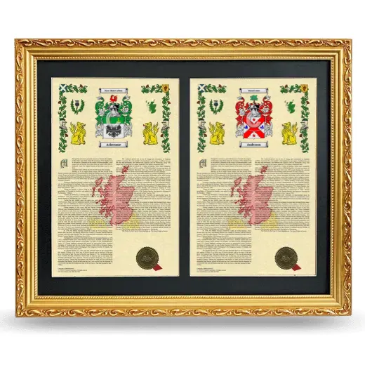 Double Armorial History Framed - Gold