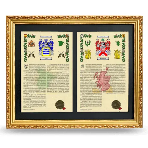 Double Armorial History Framed - Gold
