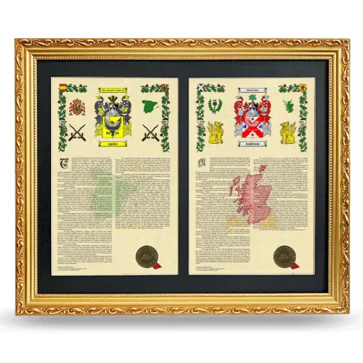Double Armorial History Framed - Gold