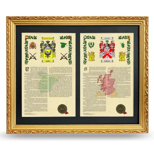 Double Armorial History Framed - Gold