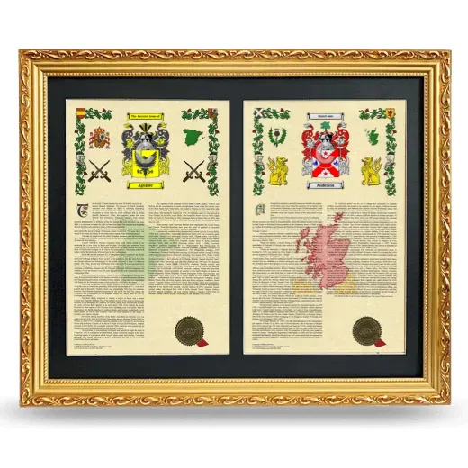 Double Armorial History Framed - Gold
