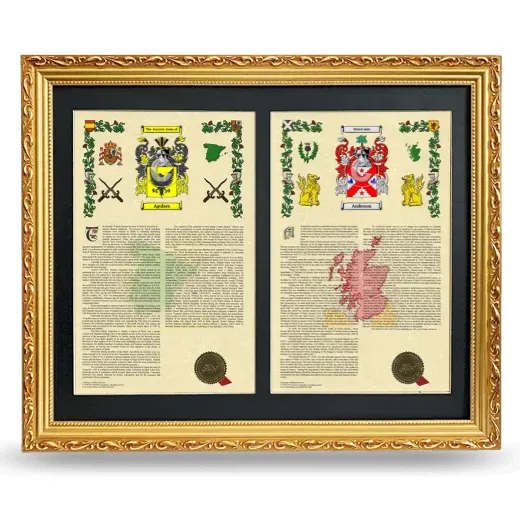 Double Armorial History Framed - Gold