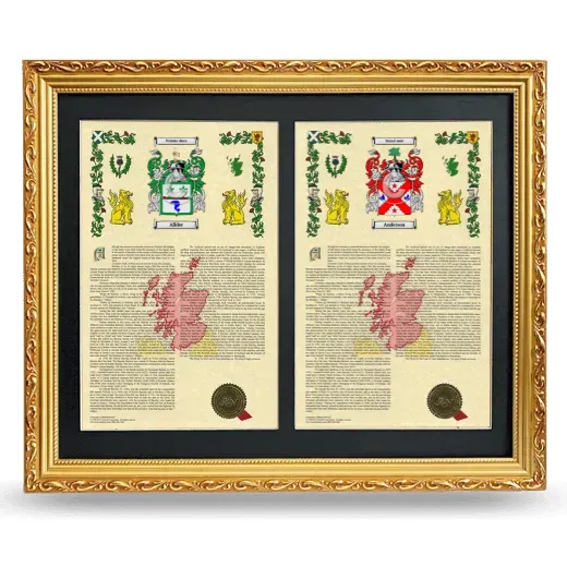 Double Armorial History Framed - Gold
