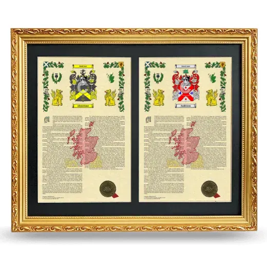 Double Armorial History Framed - Gold