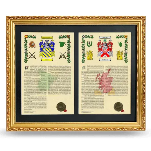 Double Armorial History Framed - Gold