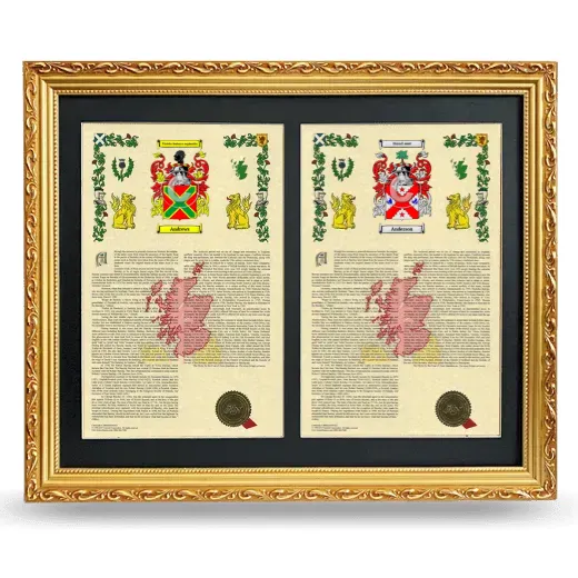 Double Armorial History Framed - Gold