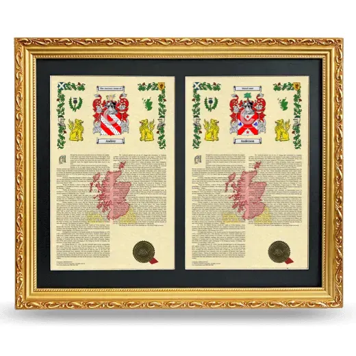 Double Armorial History Framed - Gold