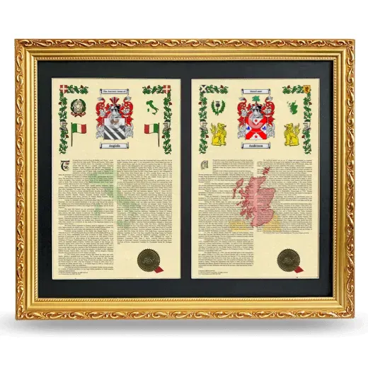 Double Armorial History Framed - Gold