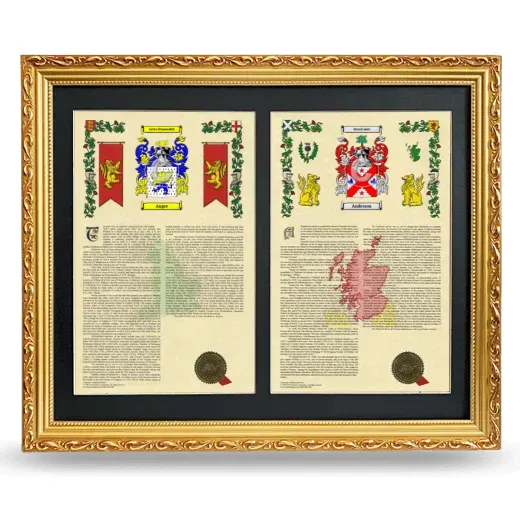 Double Armorial History Framed - Gold