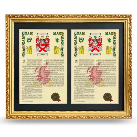 Double Armorial History Framed - Gold