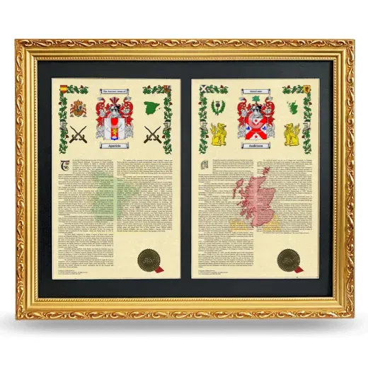 Double Armorial History Framed - Gold