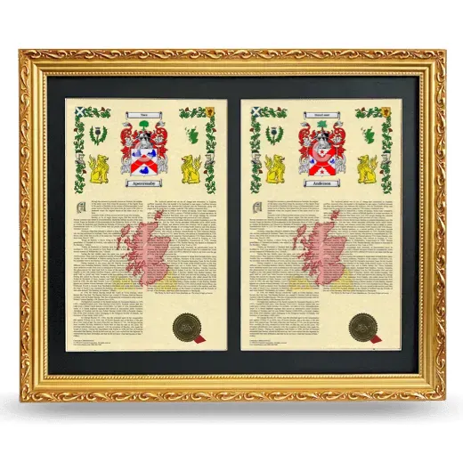 Double Armorial History Framed - Gold