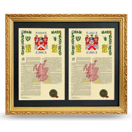 Double Armorial History Framed - Gold