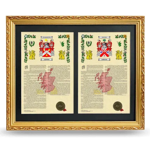 Double Armorial History Framed - Gold