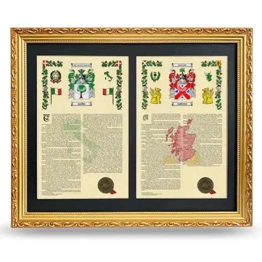 Double Armorial History Framed - Gold