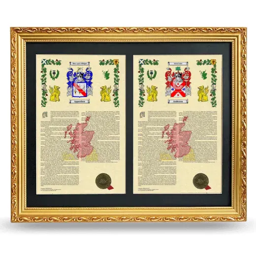 Double Armorial History Framed - Gold