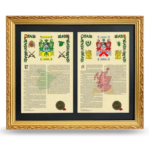 Double Armorial History Framed - Gold