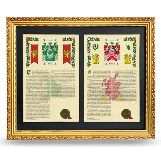 Double Armorial History Framed - Gold