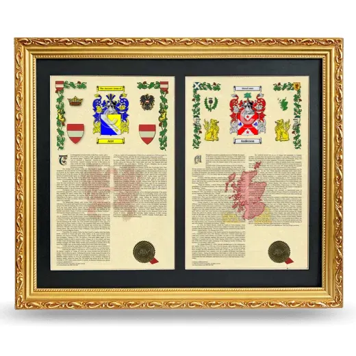 Double Armorial History Framed - Gold