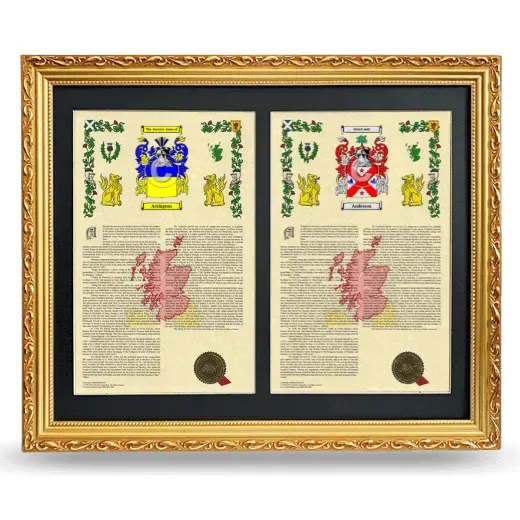 Double Armorial History Framed - Gold
