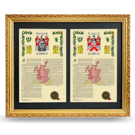 Double Armorial History Framed - Gold