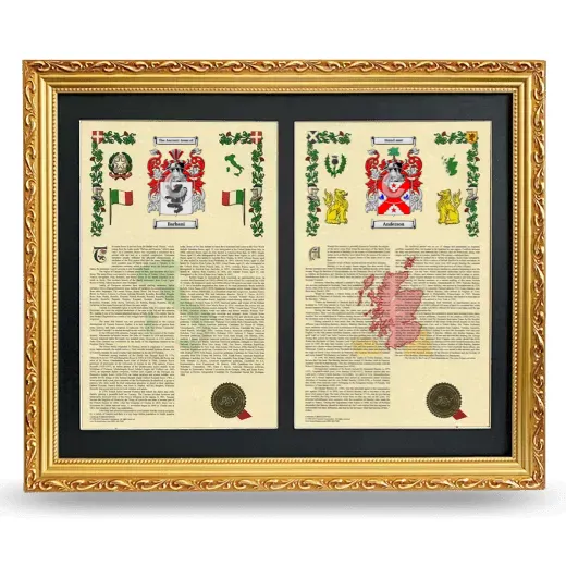 Double Armorial History Framed - Gold