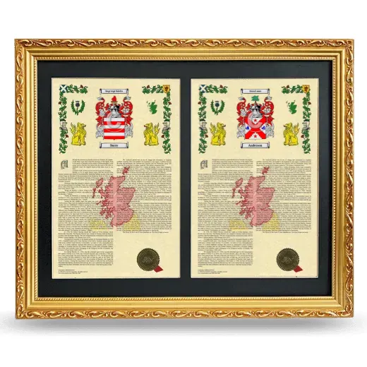 Double Armorial History Framed - Gold