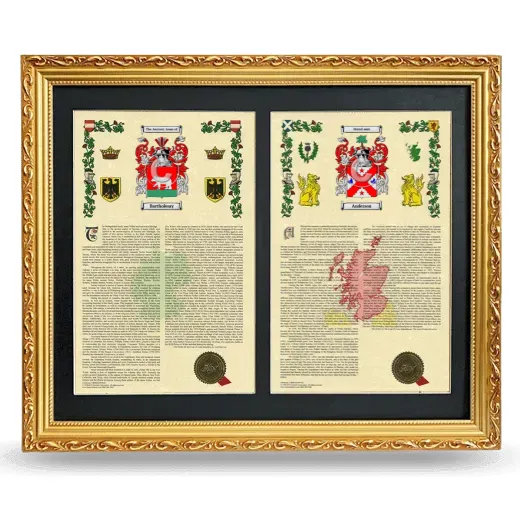 Double Armorial History Framed - Gold