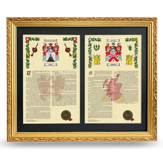 Double Armorial History Framed - Gold