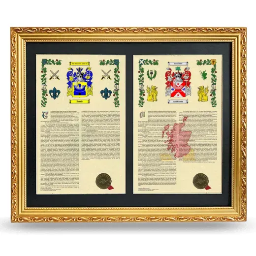 Double Armorial History Framed - Gold