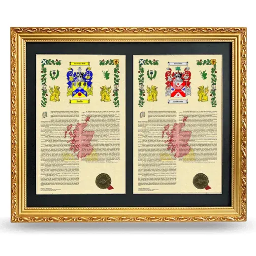 Double Armorial History Framed - Gold