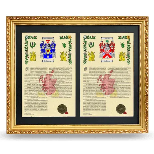 Double Armorial History Framed - Gold
