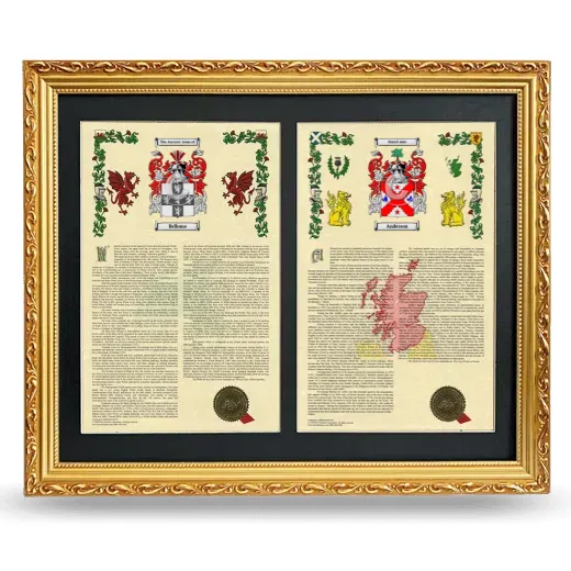 Double Armorial History Framed - Gold