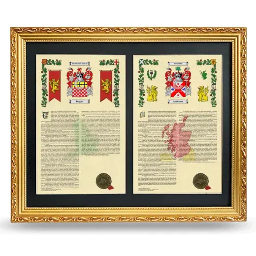 Double Armorial History Framed - Gold