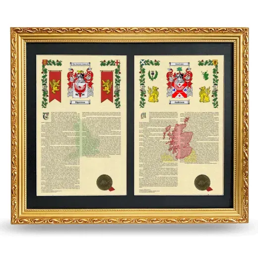 Double Armorial History Framed - Gold