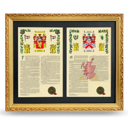 Double Armorial History Framed - Gold