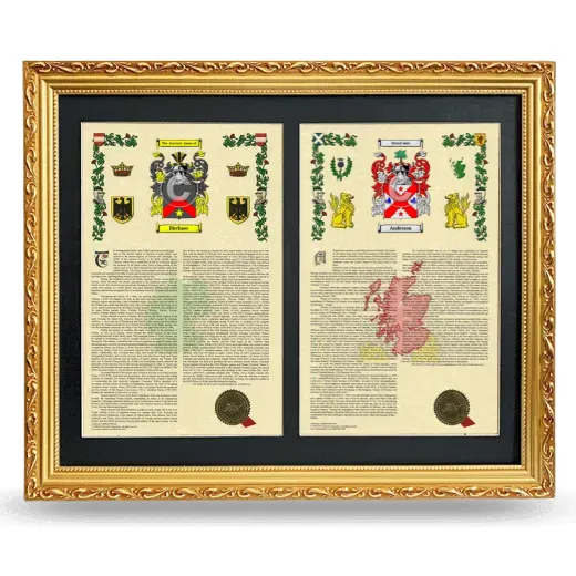 Double Armorial History Framed - Gold
