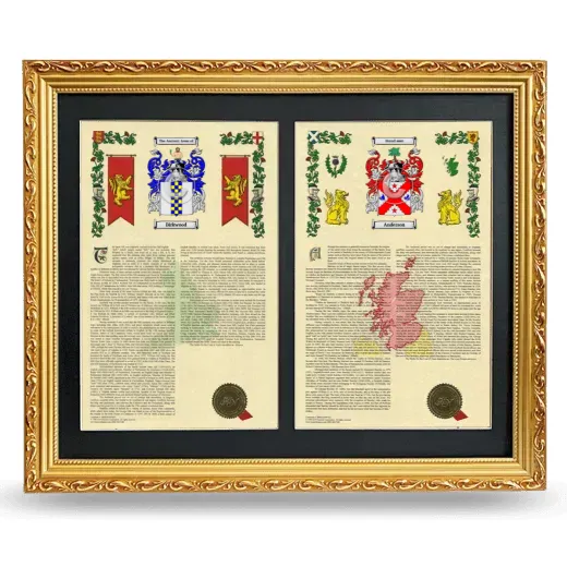 Double Armorial History Framed - Gold