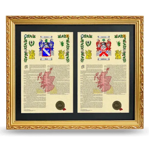 Double Armorial History Framed - Gold