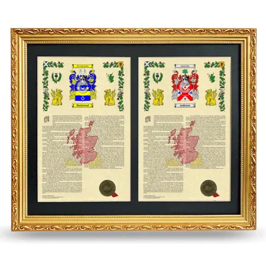 Double Armorial History Framed - Gold