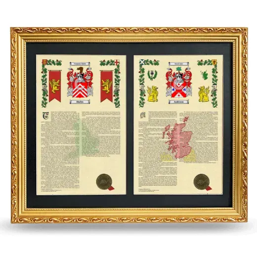 Double Armorial History Framed - Gold