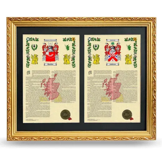Double Armorial History Framed - Gold