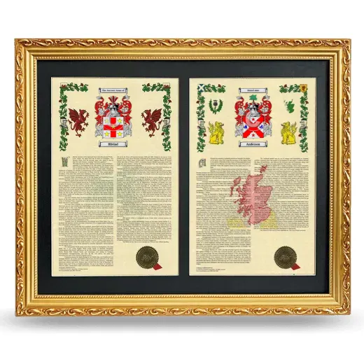 Double Armorial History Framed - Gold