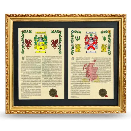 Double Armorial History Framed - Gold