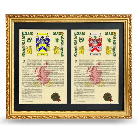 Double Armorial History Framed - Gold