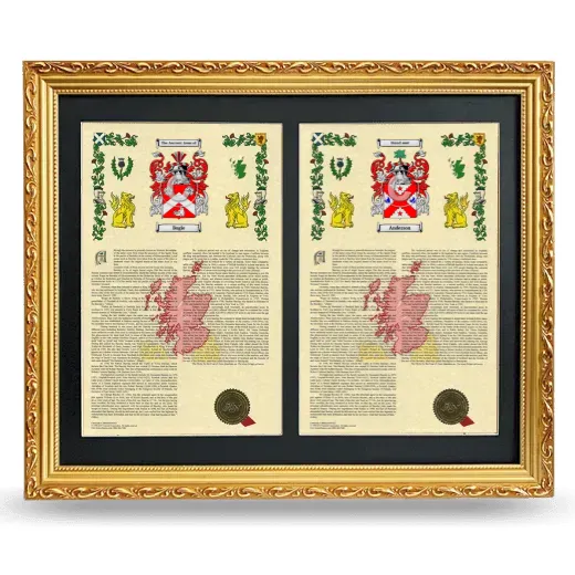 Double Armorial History Framed - Gold