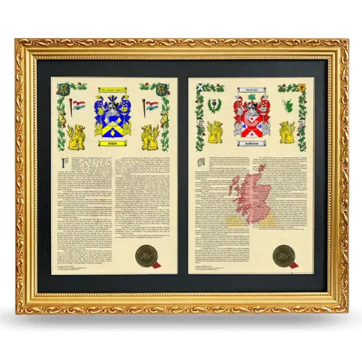 Double Armorial History Framed - Gold