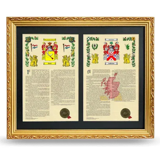Double Armorial History Framed - Gold